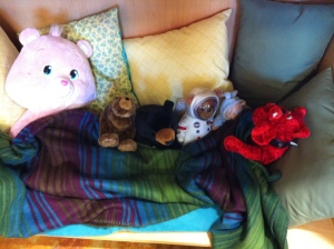 shh...our bears are resting