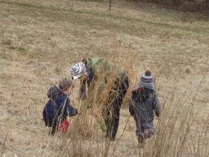 exploring the winter meadow