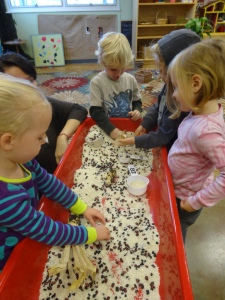 fall seeds in the sensory table